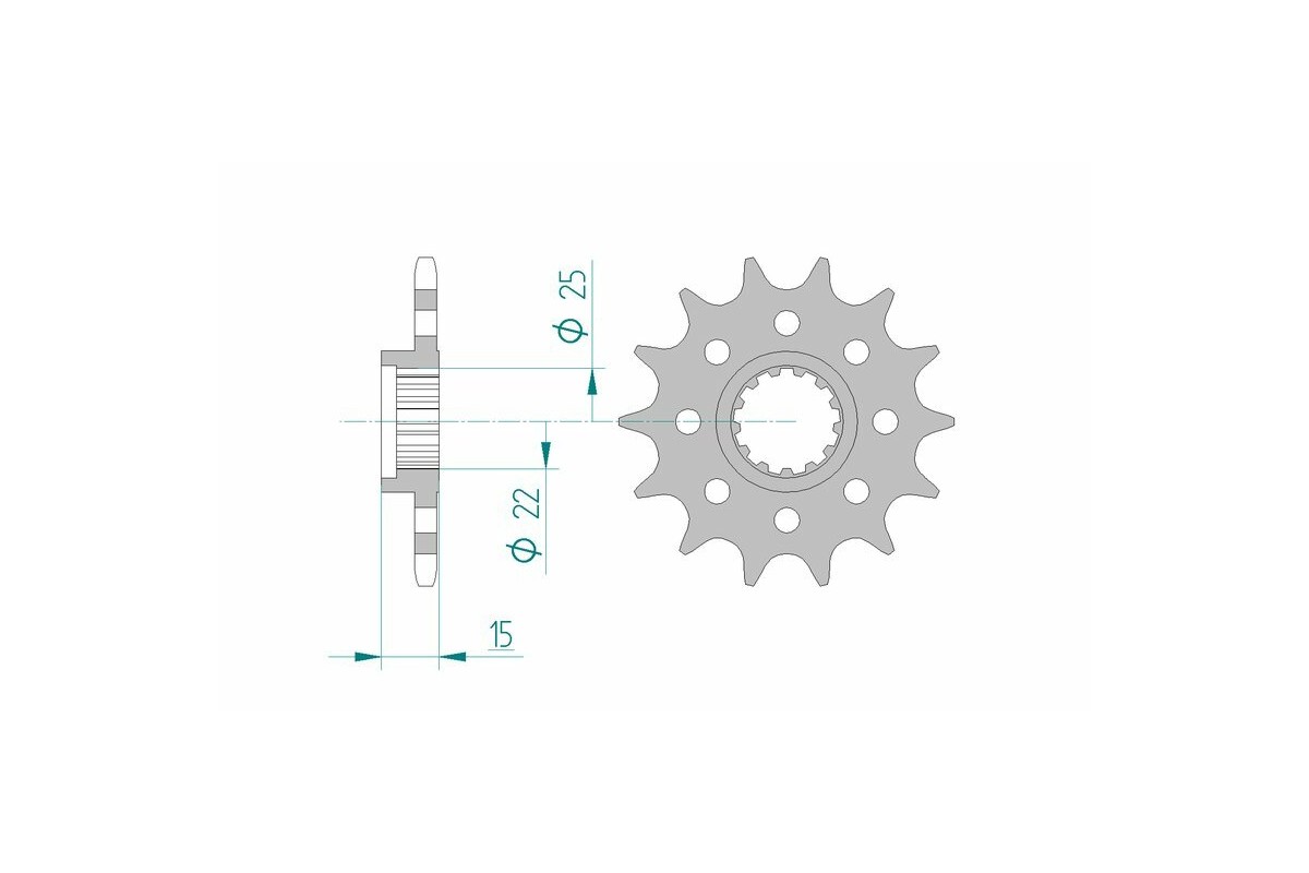 Pignon AFAM acier standard 24509 - 520