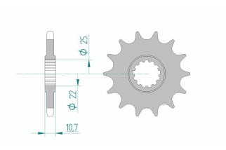 Pignon AFAM acier standard 21606 - 525