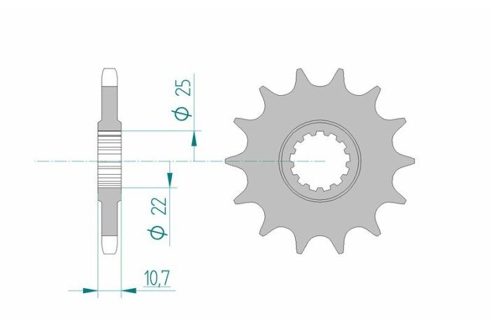 Pignon AFAM acier standard 21606 - 525