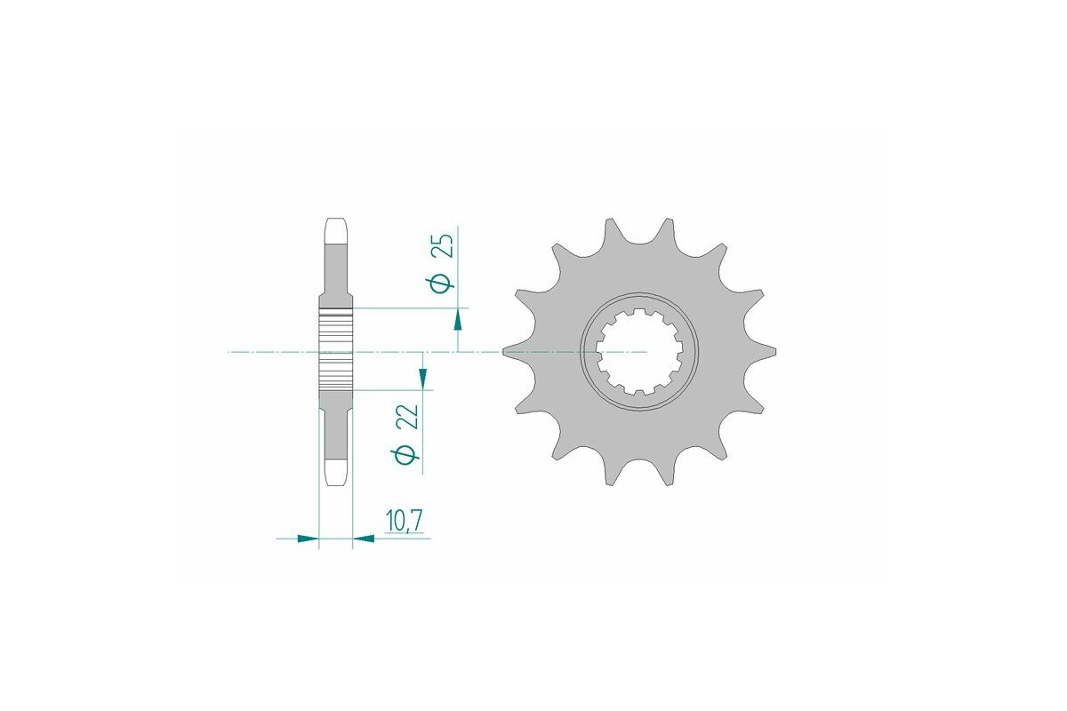 Pignon AFAM acier standard 21606 - 525