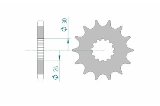 Pignon AFAM acier standard 88800 - 530