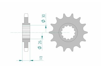 Pignon AFAM acier standard 20603 - 530