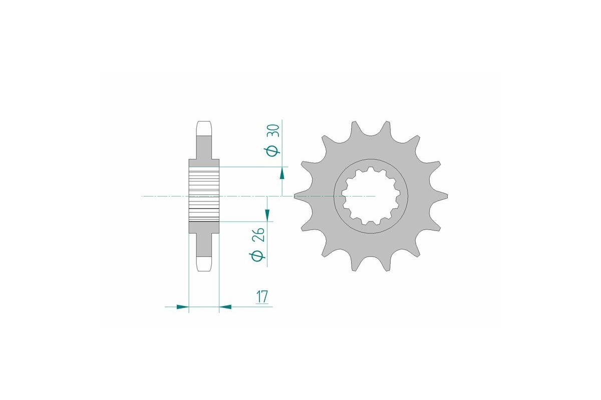 Pignon AFAM acier standard 20603 - 530