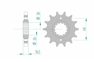 Pignon AFAM acier standard 20602 - 530