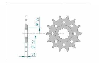 Pignon AFAM acier standard 24511 - 520