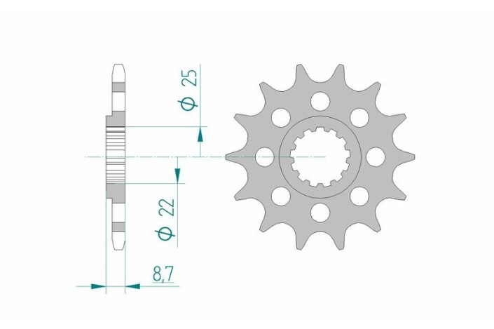 Pignon AFAM acier standard 28402 - 520