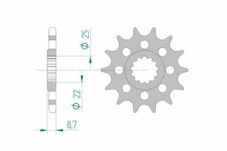 Pignon AFAM acier standard 28403 - 525