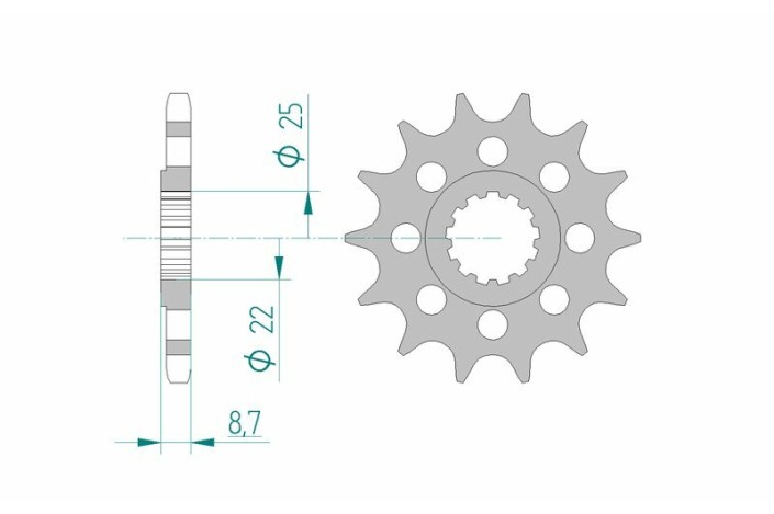 Pignon AFAM acier standard 28403 - 525