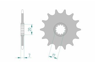 Pignon AFAM acier standard 94107 - 415