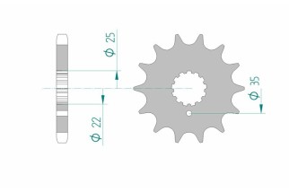 Pignon AFAM acier standard 33600 - 630