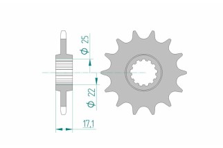 Pignon AFAM acier standard 20407 - 520