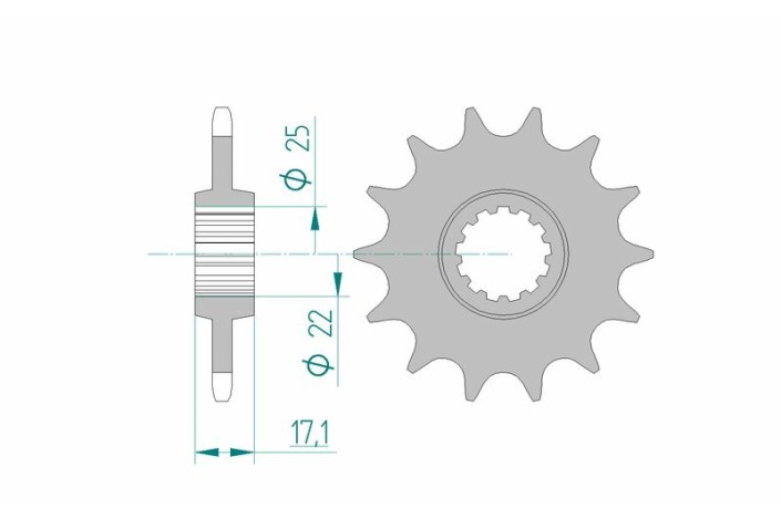 Pignon AFAM acier standard 20407 - 520