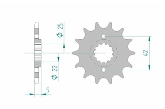 Pignon AFAM acier standard 24502 - 520