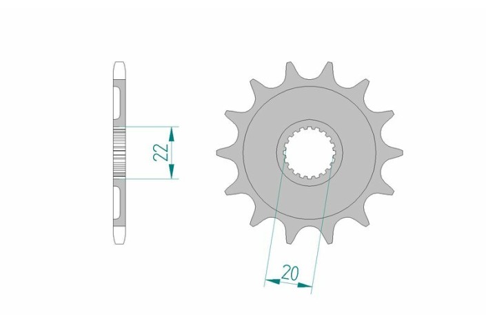 Pignon AFAM acier standard 21309 - 520