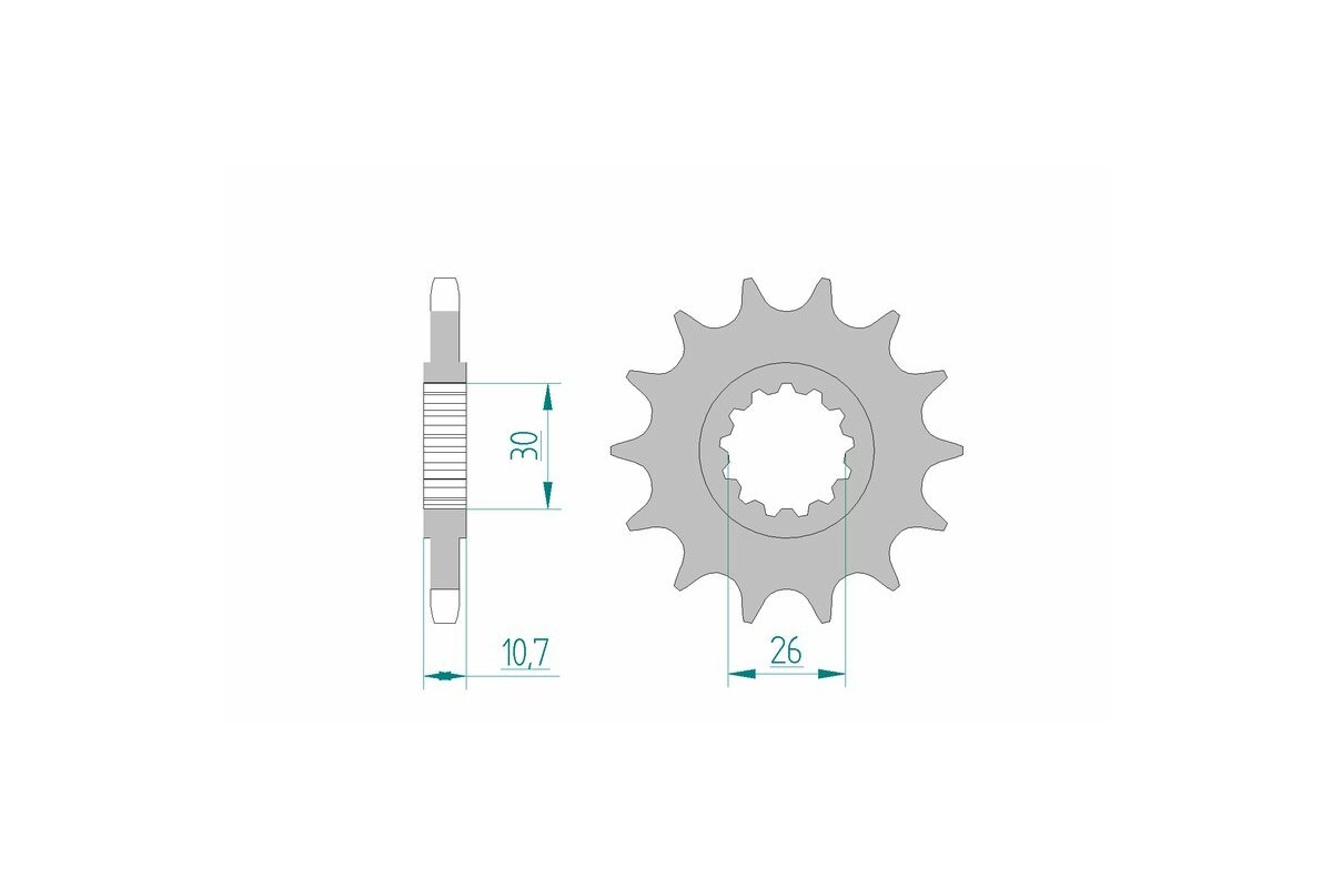 Pignon AFAM acier standard 21607 - 525