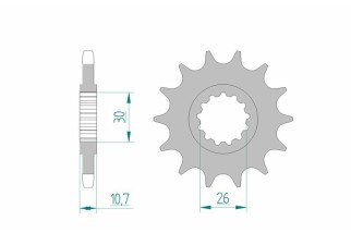 Pignon AFAM acier standard 21607 - 525
