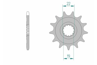 Pignon AFAM acier standard 64305 - 520