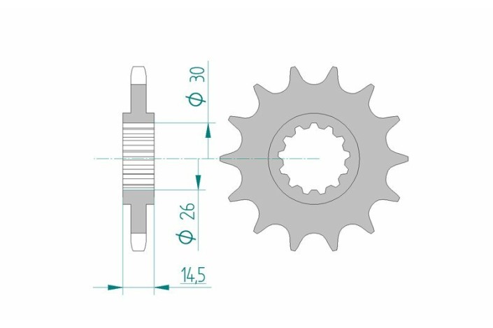 Pignon AFAM acier standard 20607 - 525