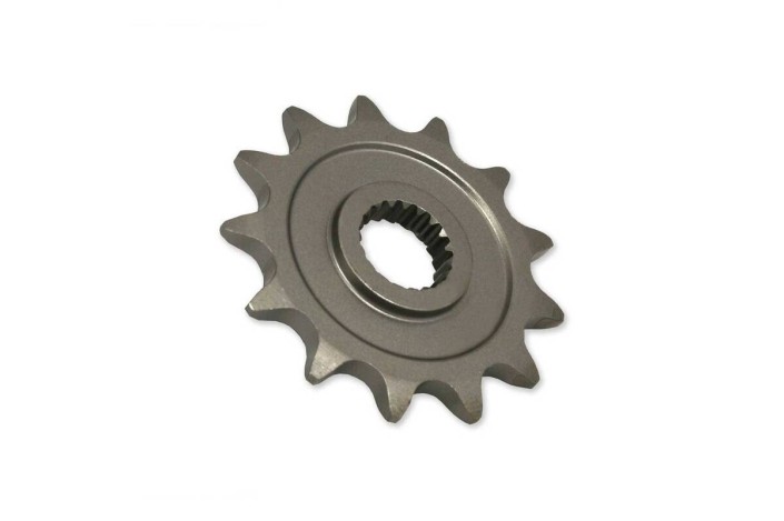 Pignon RFX Race 10 dents