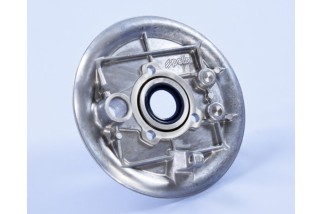 Plaque de mâchoire arrière POLINI