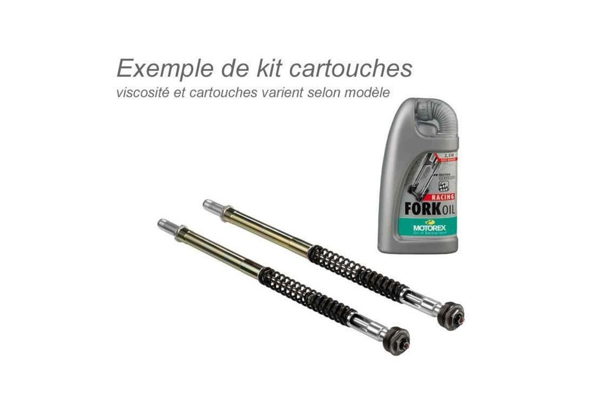 Kit ressort de fourche BITUBO tarage 1,0 avec huile de fourche MOTOREX Suzuki GSR750