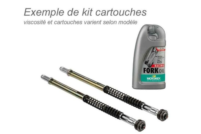 Kit cartouches de fourche BITUBO + huile de fourche MOTOREX Suzuki GSX-R1000