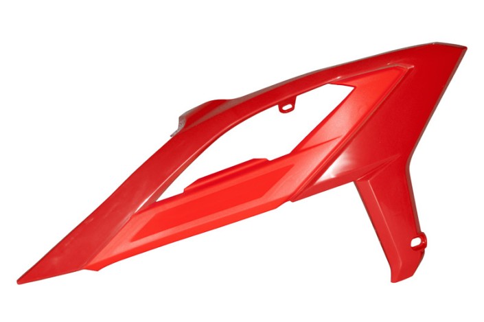 Ouïes de radiateur RACETECH avec support