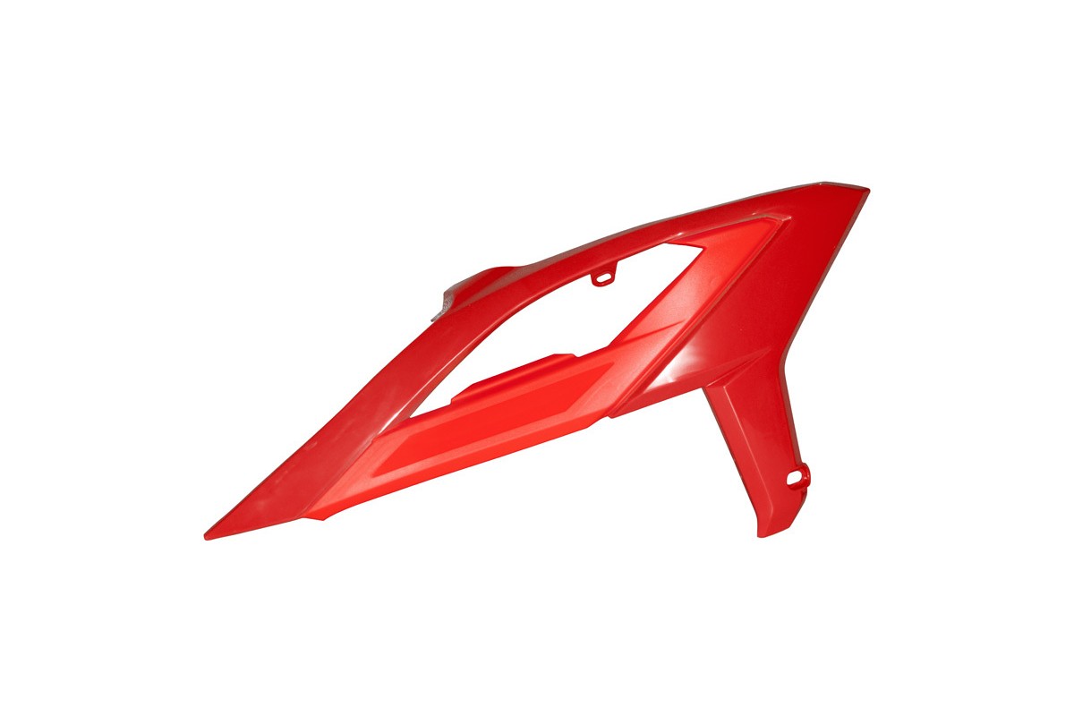 Ouïes de radiateur RACETECH avec support