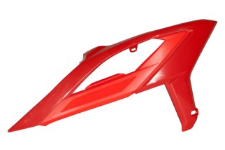 Ouïes de radiateur RACETECH avec support