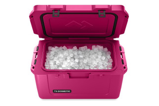 Glacière Patrol 20L/5.3Gal de Dometic / Orchidée