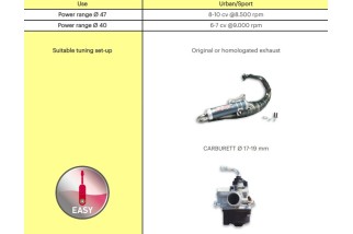 Kit cylindre fonte MALOSSI ø40