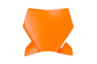 Plaque numéro frontale RACETECH