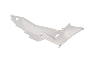 Plaques latérales RACETECH