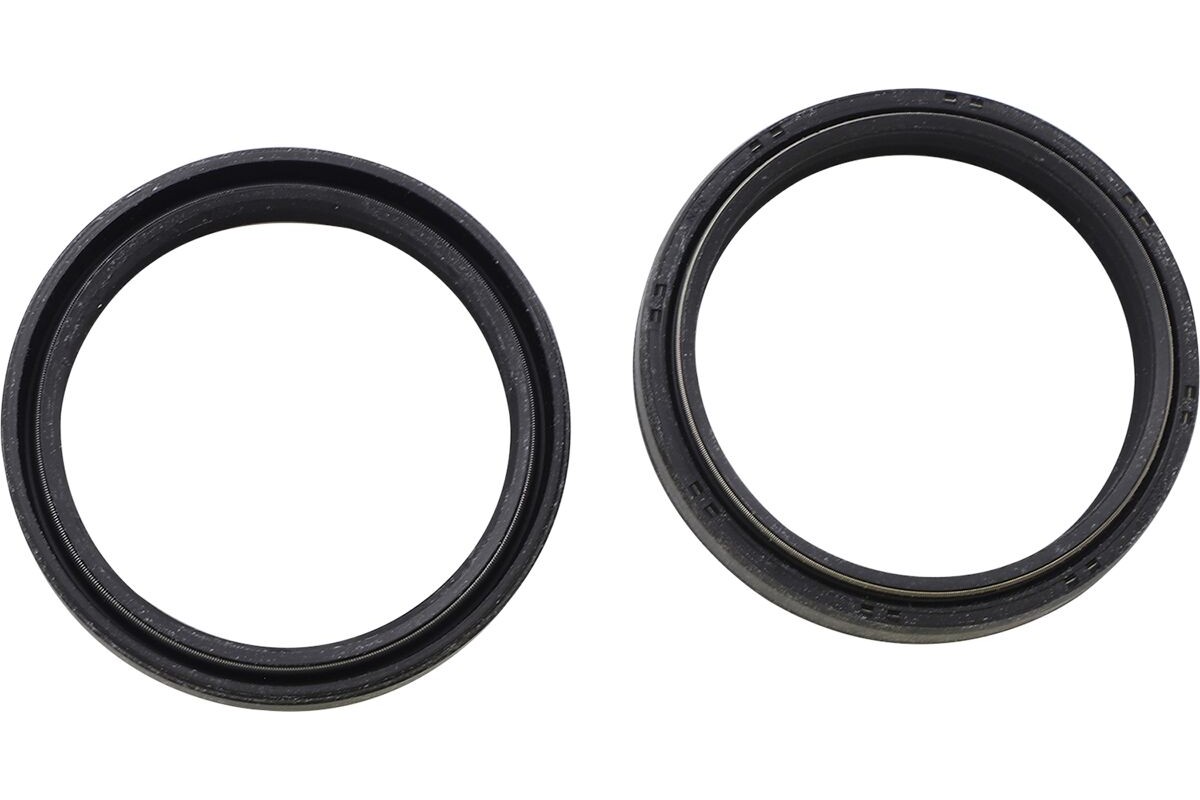 OIL SEAL FF 48MM 2 SPRG