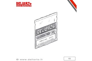 Boîtier de commande DELLORTO  ECU ECS Original 45km/h