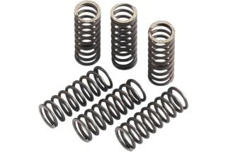 CLTCH SPRINGS CRF/TRX450R