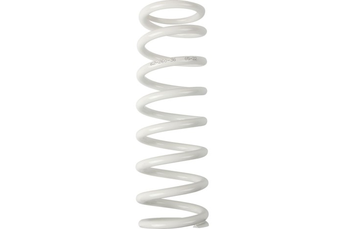 SHOCK SPRING WP 36