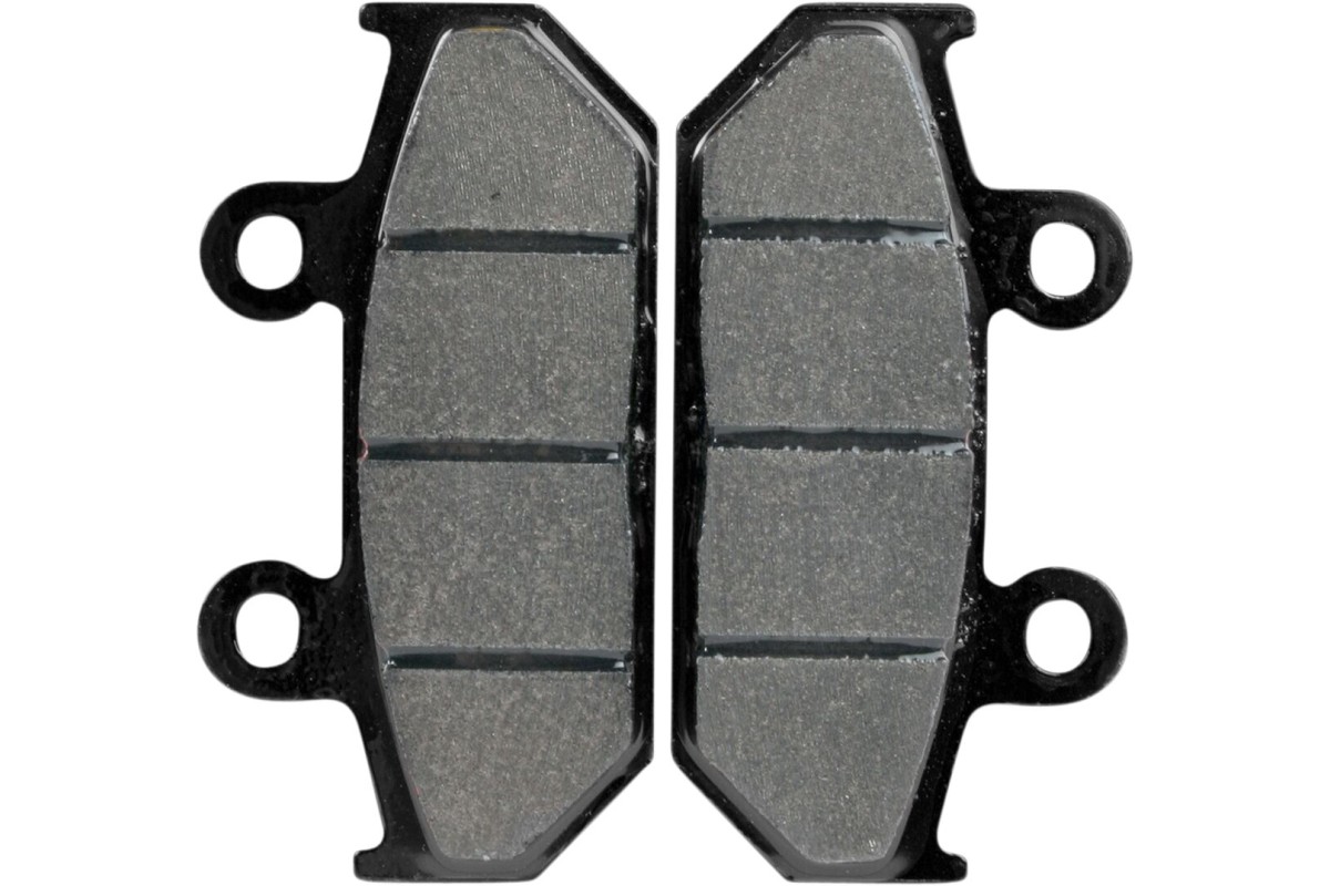 BRAKE PAD SINT FR