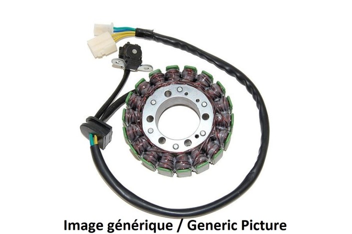 Stator ELECTROSPORT - Suzuki GZ250