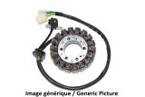 Stator ELECTROSPORT - Suzuki GZ250