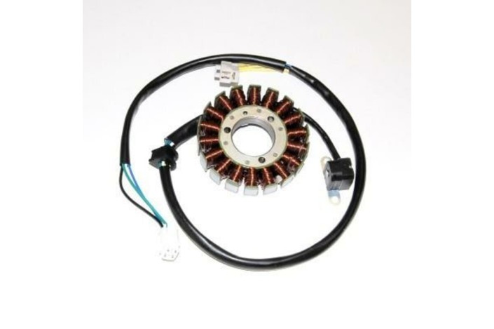 Stator ELECTROSPORT