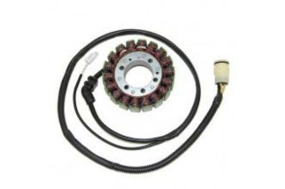 Stator ELECTROSPORT - Kawasaki ZX12R