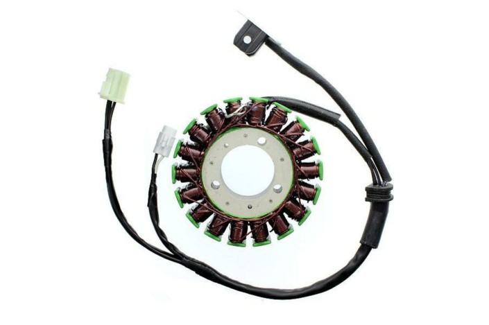 Stator ELECTROSPORT - Triumph 675