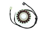 Stator ELECTROSPORT - Triumph 675