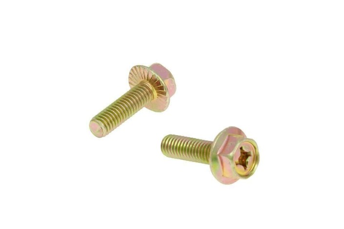 EXHAUST SCREWS