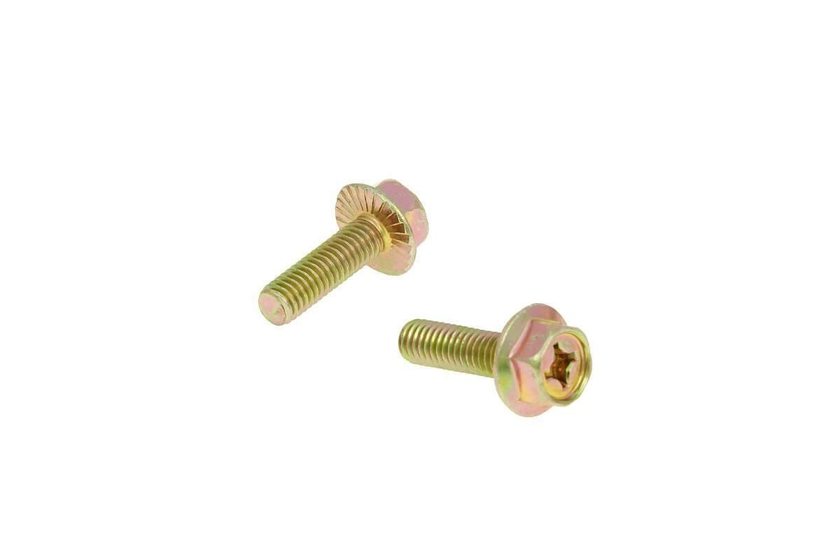 EXHAUST SCREWS