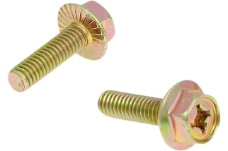 EXHAUST SCREWS