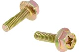 EXHAUST SCREWS