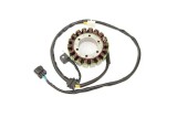 Stator ELECTROSPORT