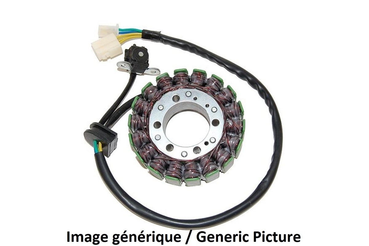 Stator ELECTROSPORT - BMW S1000R